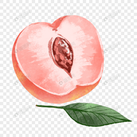 糖心appAPP应用